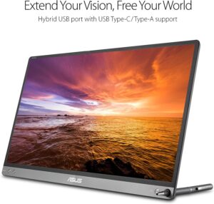 ASUS ZenScreen